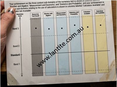 A real LANTITE pass result sent in by a student who used the app